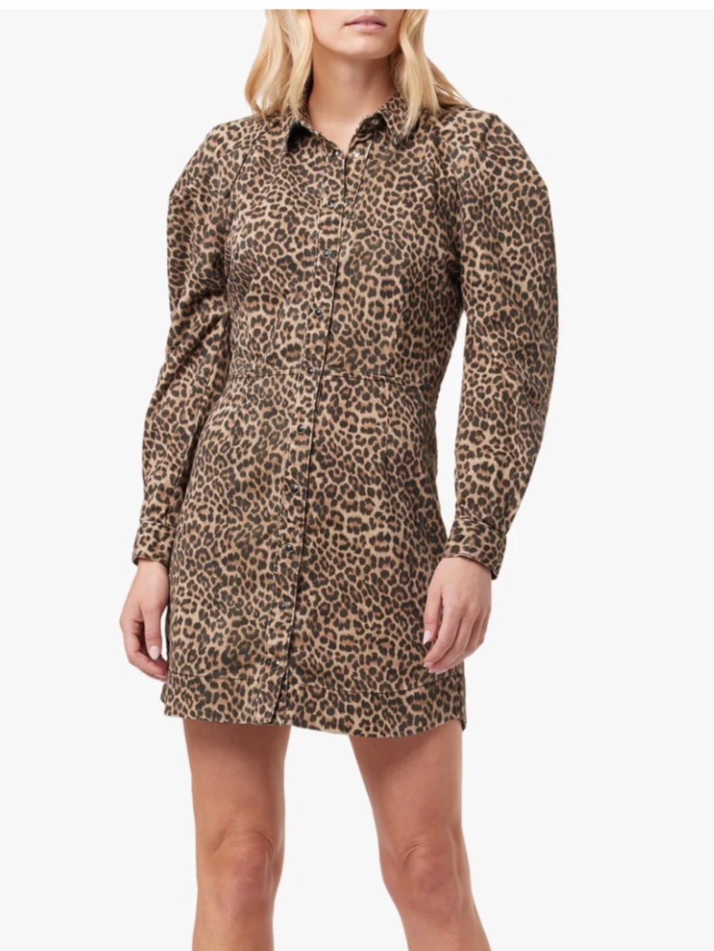 Joe's Jeans THE BRODY DRESS Leonine NWT